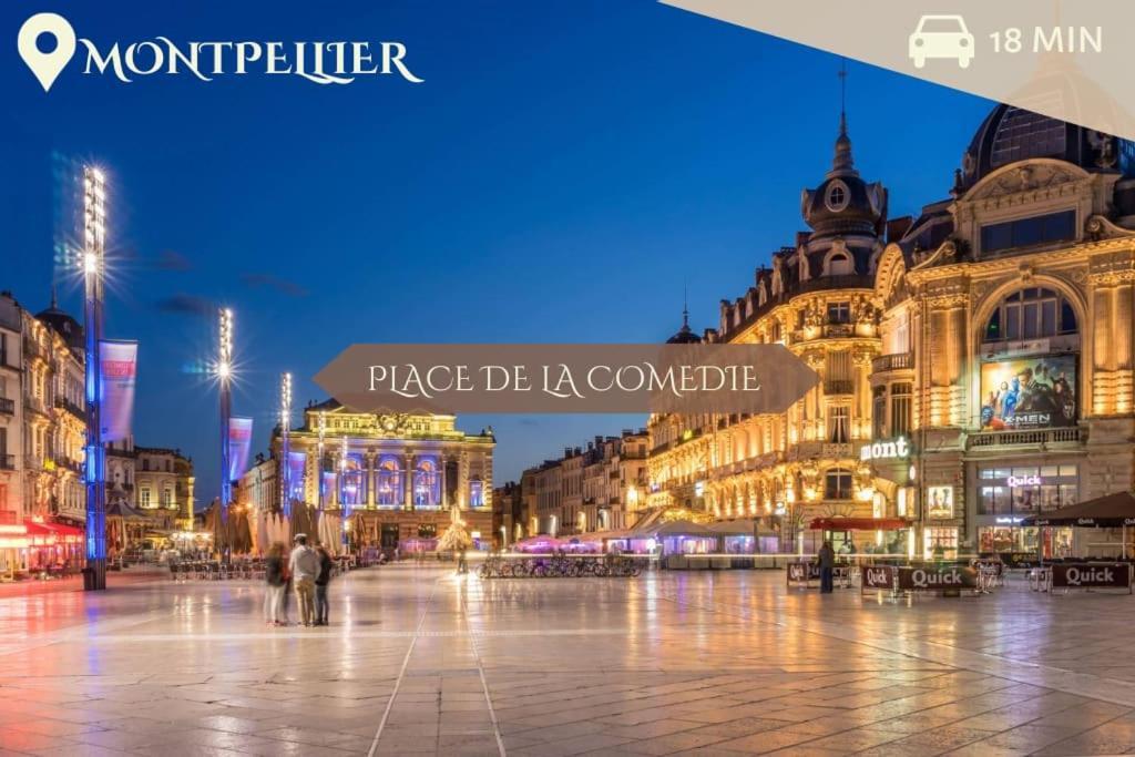 016- T2 Tropisme, Appart 1 Chambre,Clim,Wifi,Parking Montpellier Dış mekan fotoğraf