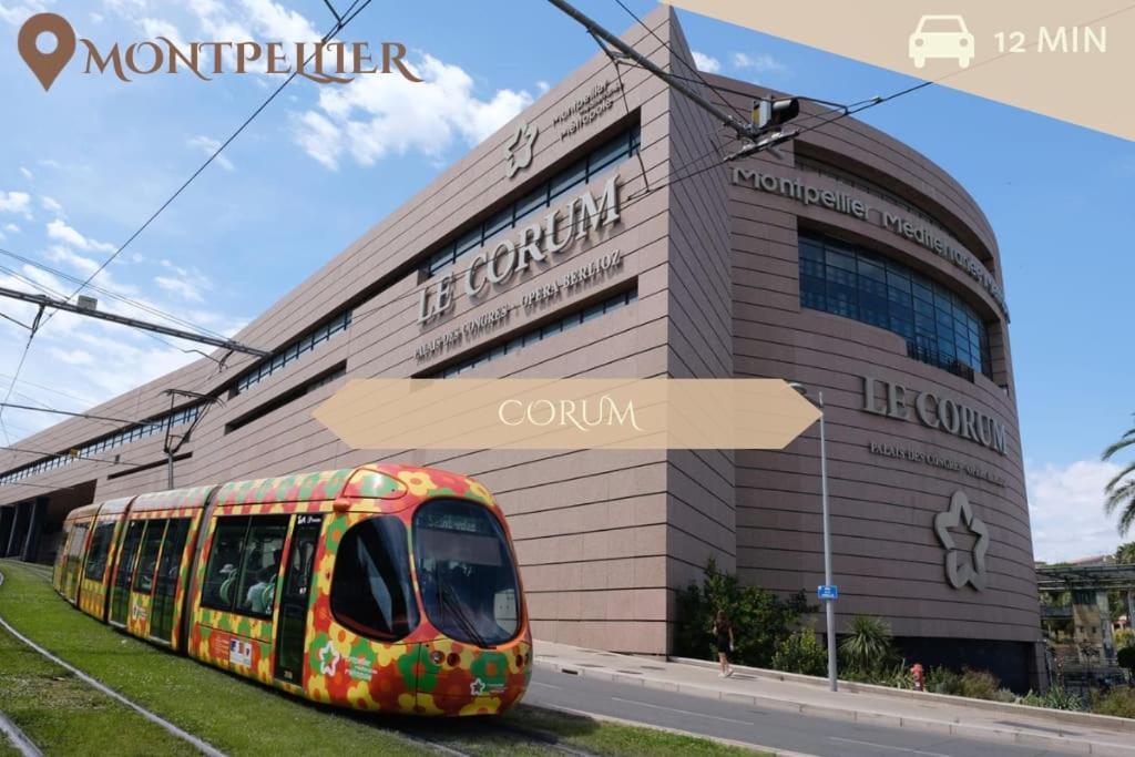 016- T2 Tropisme, Appart 1 Chambre,Clim,Wifi,Parking Montpellier Dış mekan fotoğraf