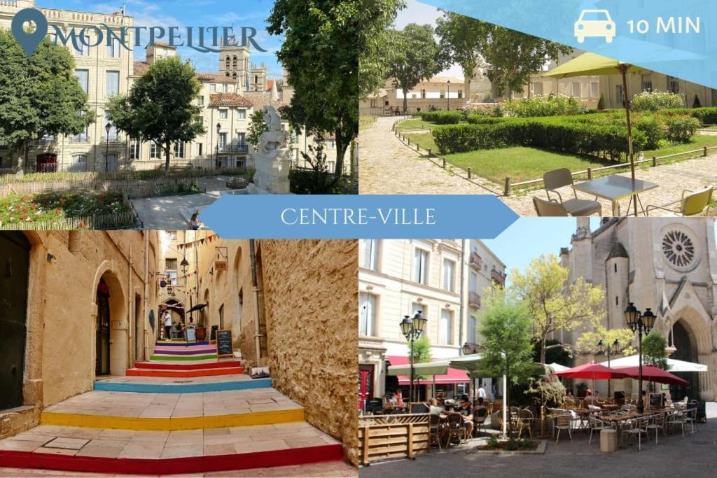 016- T2 Tropisme, Appart 1 Chambre,Clim,Wifi,Parking Montpellier Dış mekan fotoğraf