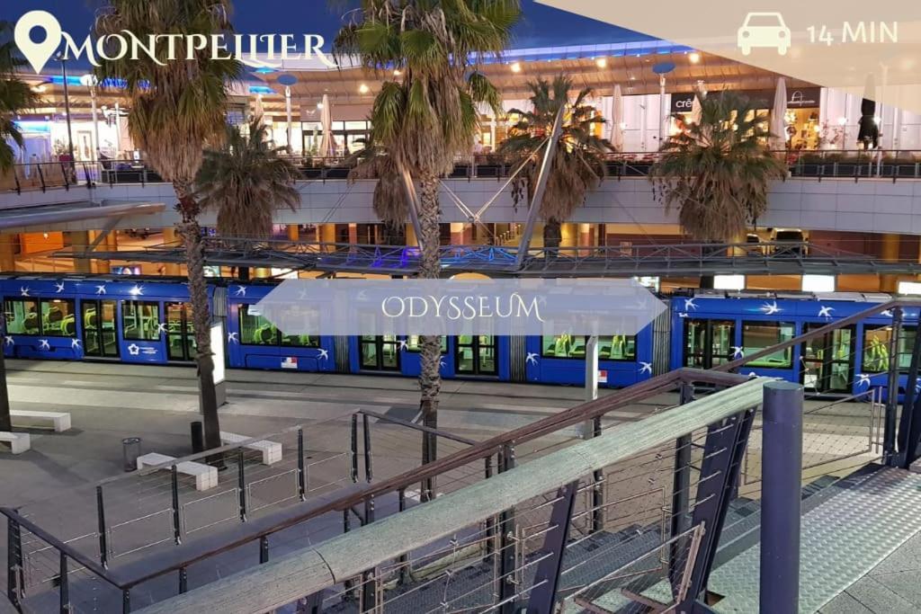 016- T2 Tropisme, Appart 1 Chambre,Clim,Wifi,Parking Montpellier Dış mekan fotoğraf