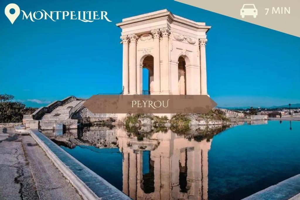 016- T2 Tropisme, Appart 1 Chambre,Clim,Wifi,Parking Montpellier Dış mekan fotoğraf